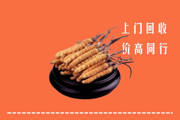 高价求购：中方县回收散虫草